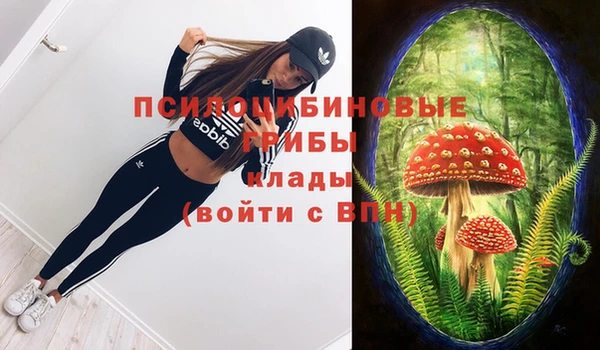 mix Арсеньев