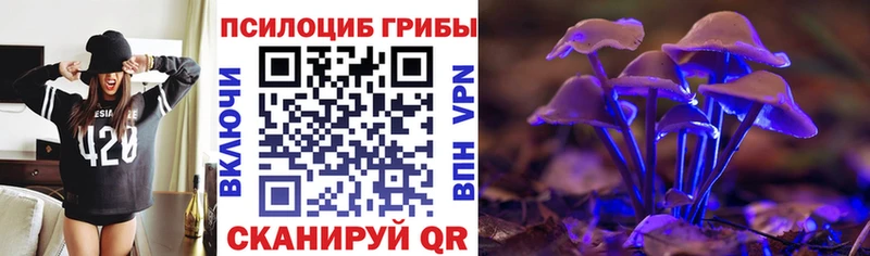 где найти наркотики  Нижний Ломов  Галлюциногенные грибы Psilocybe 